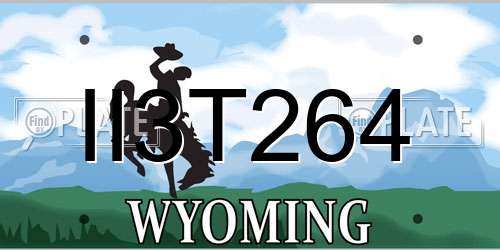 II3T264 Wyoming License Plate