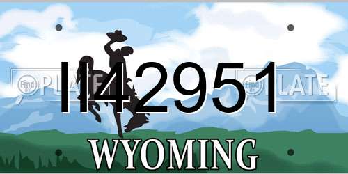 II42951 Wyoming License Plate