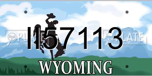 II57113 Wyoming License Plate