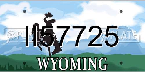 II57725 Wyoming License Plate