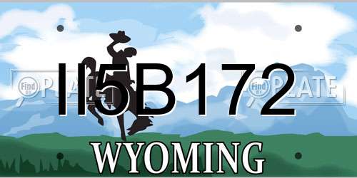 II5B172 Wyoming License Plate