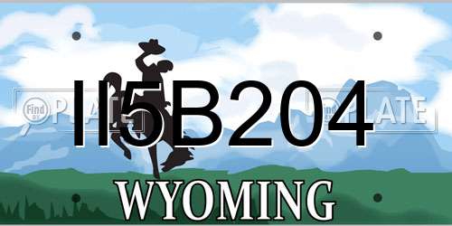 II5B204 Wyoming License Plate