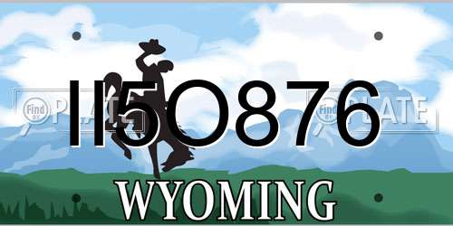 II5O876 Wyoming License Plate