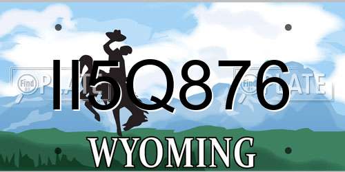 II5Q876 Wyoming License Plate