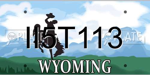 II5T113 Wyoming License Plate