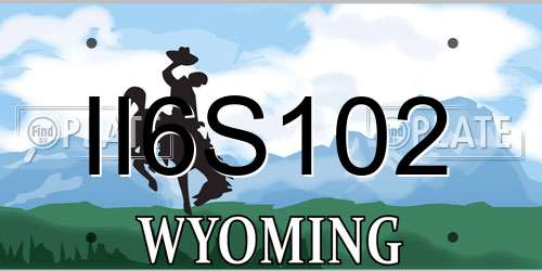II6S102 Wyoming License Plate