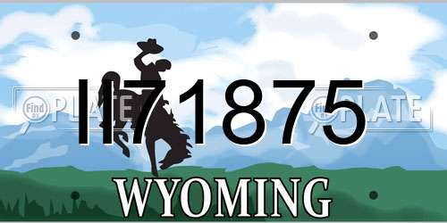 II71875 Wyoming License Plate