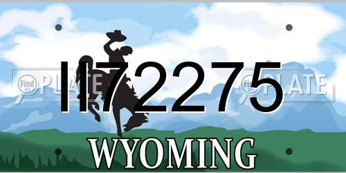 II72275 Wyoming License Plate