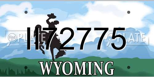 II72775 Wyoming License Plate