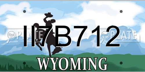 II7B712 Wyoming License Plate