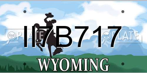 II7B717 Wyoming License Plate