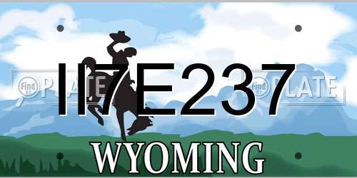 II7E237 Wyoming License Plate