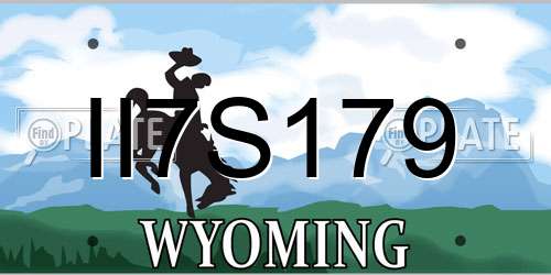 II7S179 Wyoming License Plate