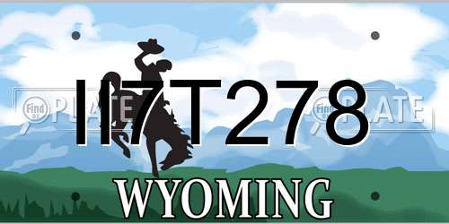II7T278 Wyoming License Plate