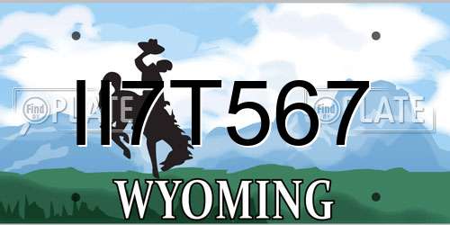 II7T567 Wyoming License Plate
