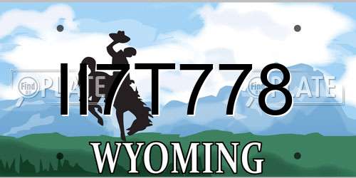 II7T778 Wyoming License Plate