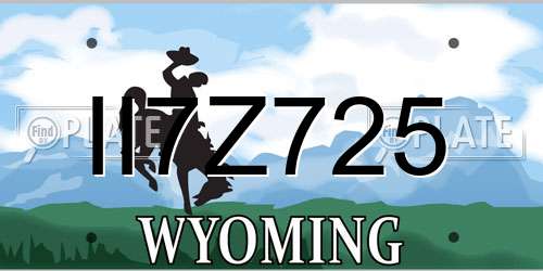 II7Z725 Wyoming License Plate