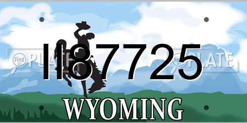 II87725 Wyoming License Plate