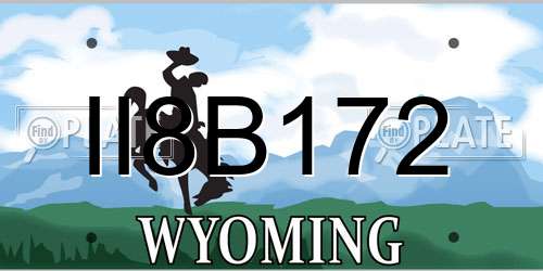 II8B172 Wyoming License Plate