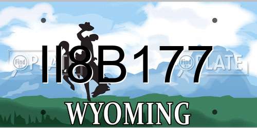II8B177 Wyoming License Plate