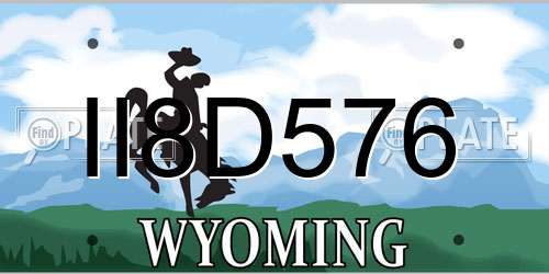 II8D576 Wyoming License Plate