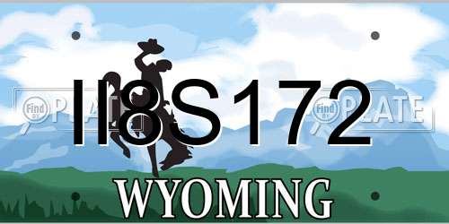 II8S172 Wyoming License Plate