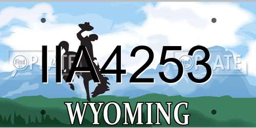 IIA4253 Wyoming License Plate