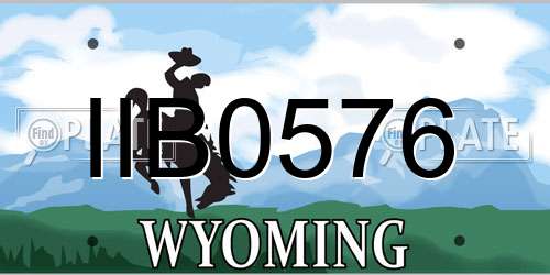 IIB0576 Wyoming License Plate
