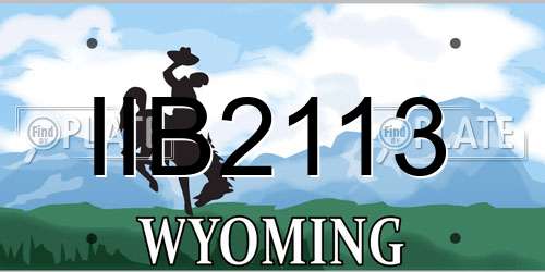 IIB2113 Wyoming License Plate