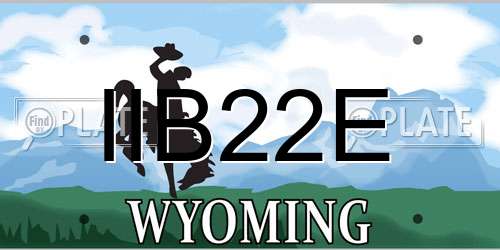 IIB22E Wyoming License Plate