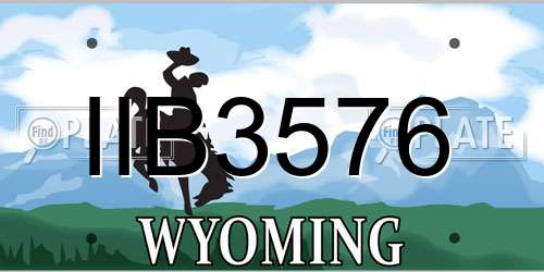 IIB3576 Wyoming License Plate