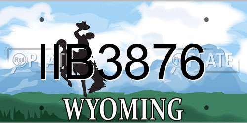 IIB3876 Wyoming License Plate