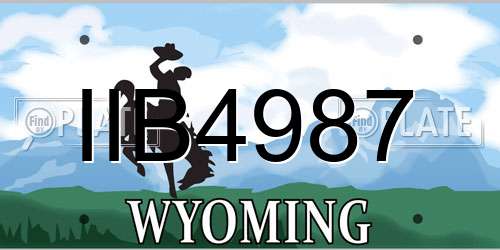 IIB4987 Wyoming License Plate