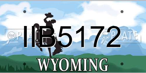 IIB5172 Wyoming License Plate