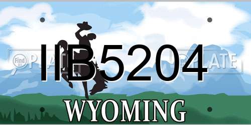 IIB5204 Wyoming License Plate