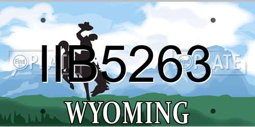 IIB5263 Wyoming License Plate