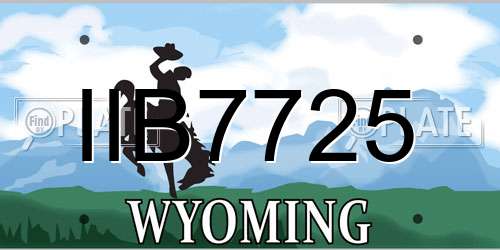 IIB7725 Wyoming License Plate