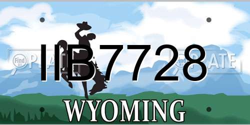 IIB7728 Wyoming License Plate