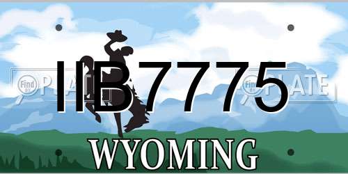 IIB7775 Wyoming License Plate