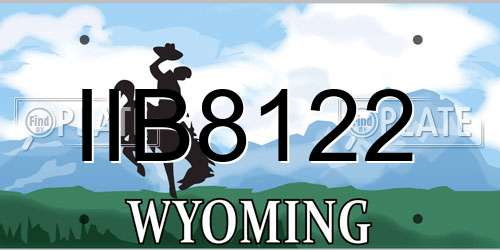 IIB8122 Wyoming License Plate