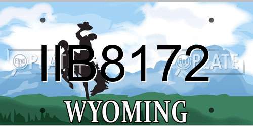 IIB8172 Wyoming License Plate