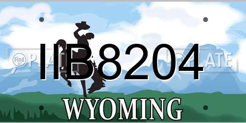 IIB8204 Wyoming License Plate