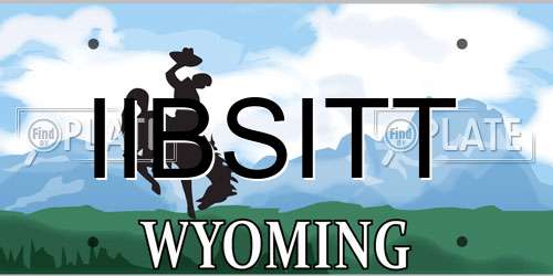 IIBSITT Wyoming License Plate