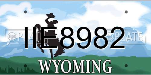 IIE8982 Wyoming License Plate