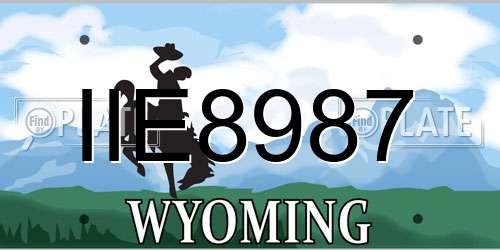 IIE8987 Wyoming License Plate