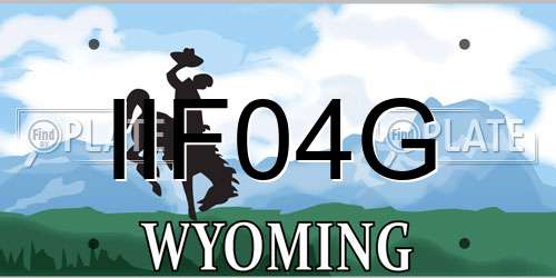 IIF04G Wyoming License Plate