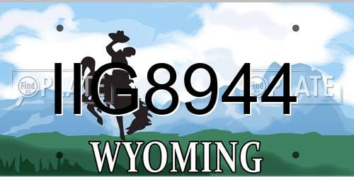IIG8944 Wyoming License Plate