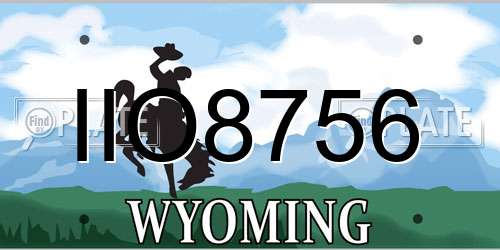 IIO8756 Wyoming License Plate
