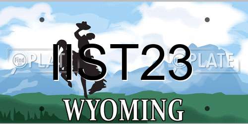 IIST23 Wyoming License Plate