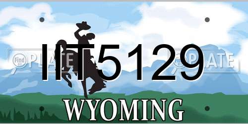 IIT5129 Wyoming License Plate